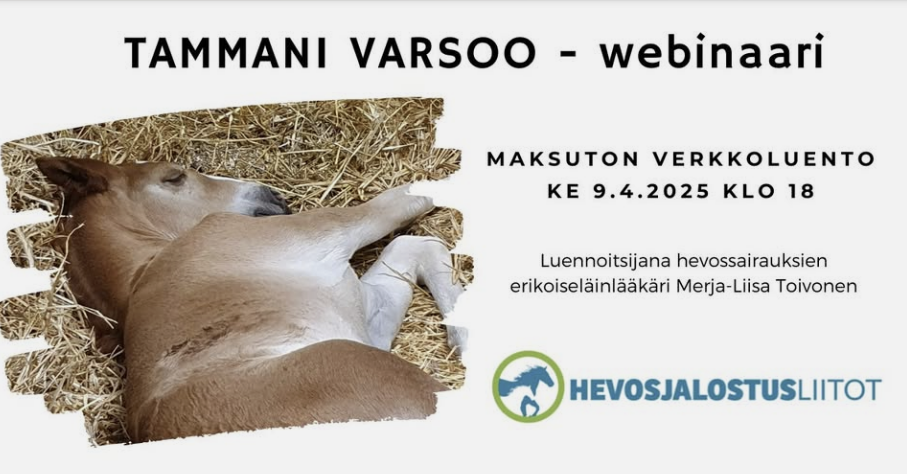 webinaarin mainos, tekstisisältö on tekstissä erikseen