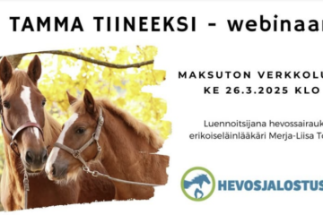 webinaarin mainos, tekstisisältö on tekstissä erikseen