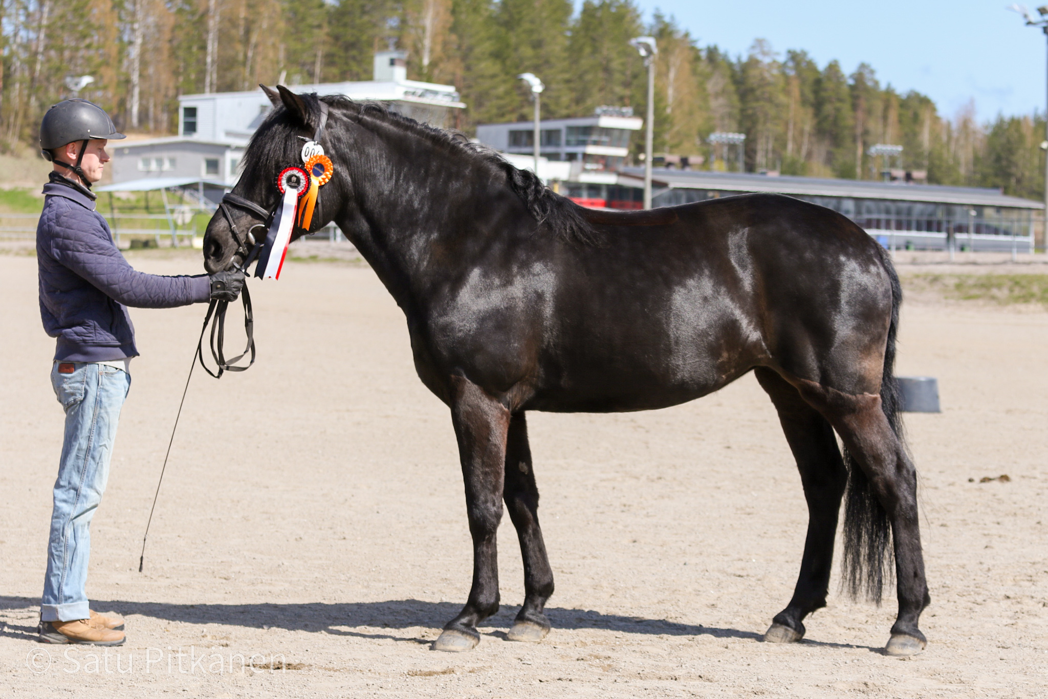 Kymen-Karjalan hevosjalostusliitto