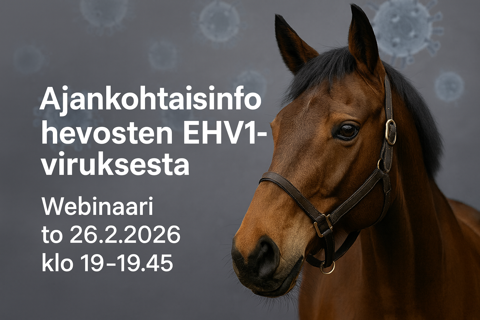 Kymen-Karjalan hevosjalostusliitto